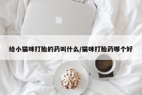 米非米索给小猫咪打胎的药叫什么/猫咪打胎药哪个好