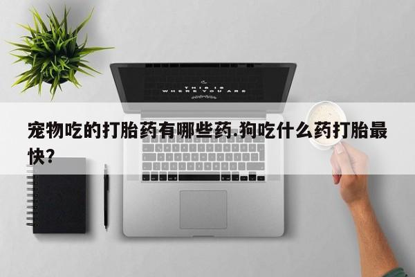 米非米索宠物吃的打胎药有哪些药.狗吃什么药打胎最快？