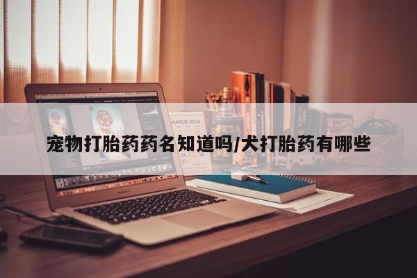 米非米索宠物打胎药药名知道吗/犬打胎药有哪些