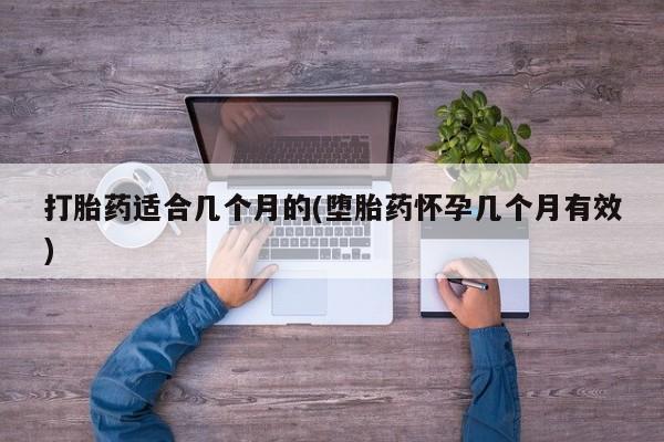 米非米索动态 第12页