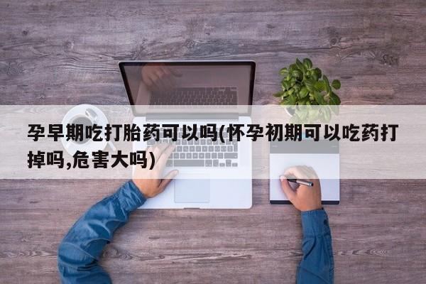 米非米索孕早期吃打胎药可以吗(怀孕初期可以吃药打掉吗,危害大吗)